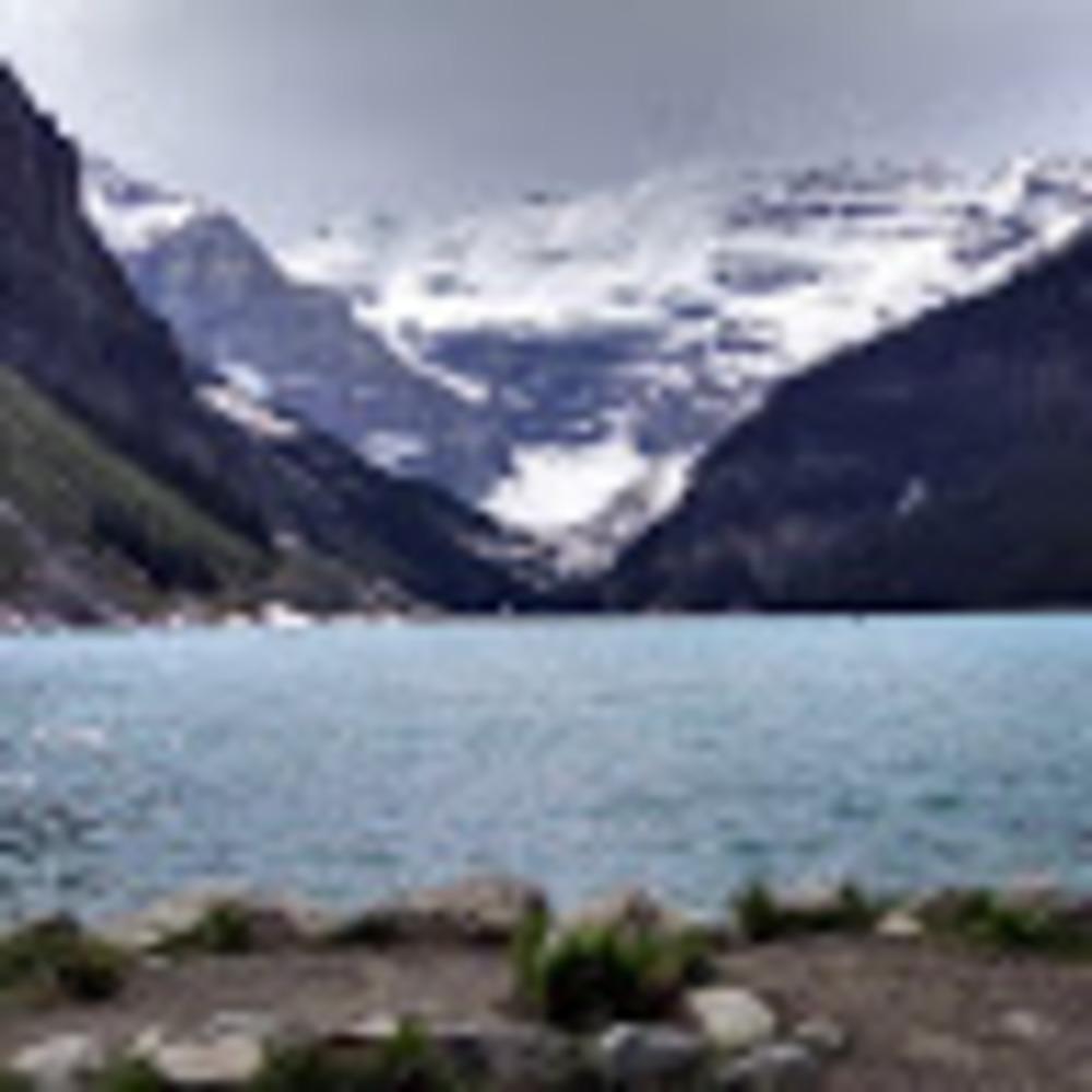 Meet your Posher, Jan